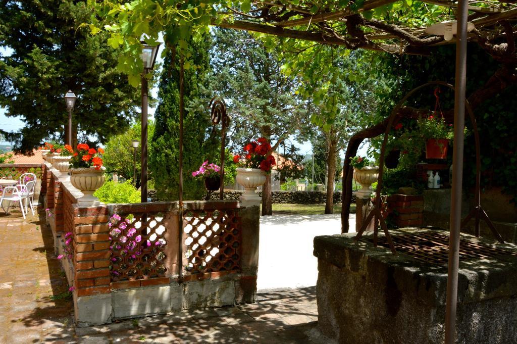 Villa Bonaccorso - Antica E Maestosa Villa Con Piscina Ai Piedi Dell'Etna فياغراندي المظهر الخارجي الصورة