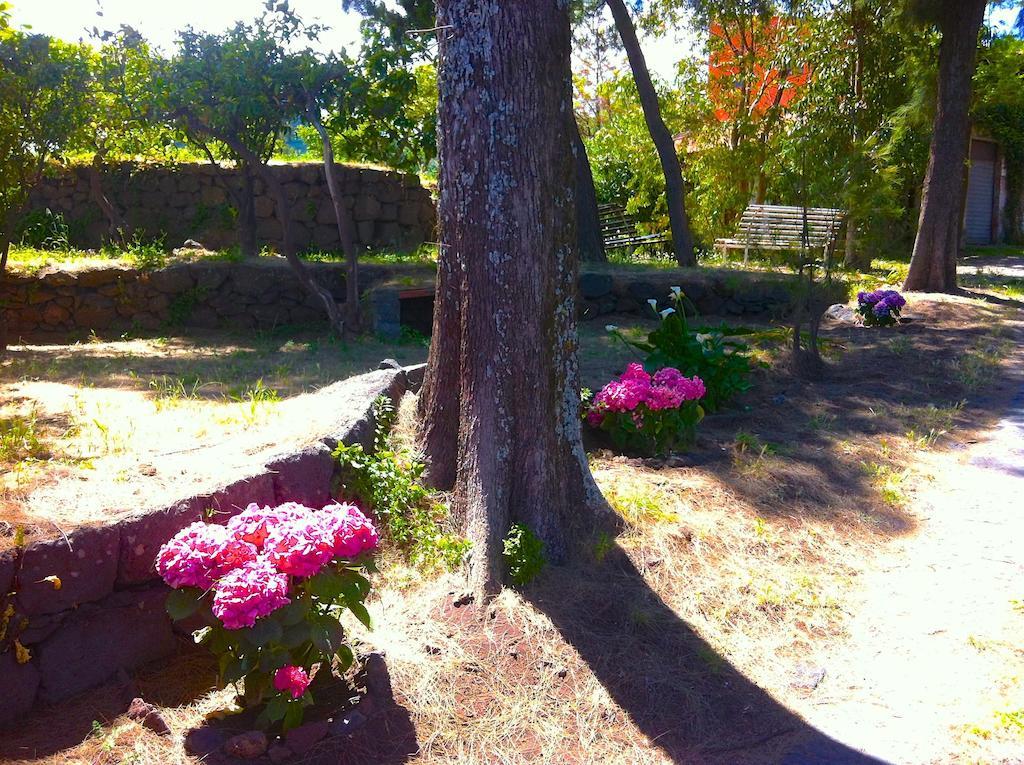 Villa Bonaccorso - Antica E Maestosa Villa Con Piscina Ai Piedi Dell'Etna فياغراندي المظهر الخارجي الصورة