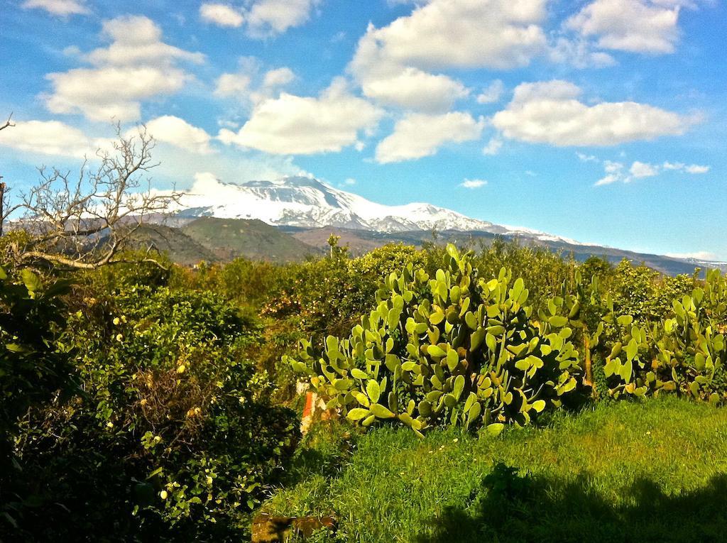 Villa Bonaccorso - Antica E Maestosa Villa Con Piscina Ai Piedi Dell'Etna فياغراندي المظهر الخارجي الصورة