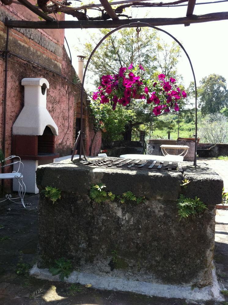 Villa Bonaccorso - Antica E Maestosa Villa Con Piscina Ai Piedi Dell'Etna فياغراندي المظهر الخارجي الصورة