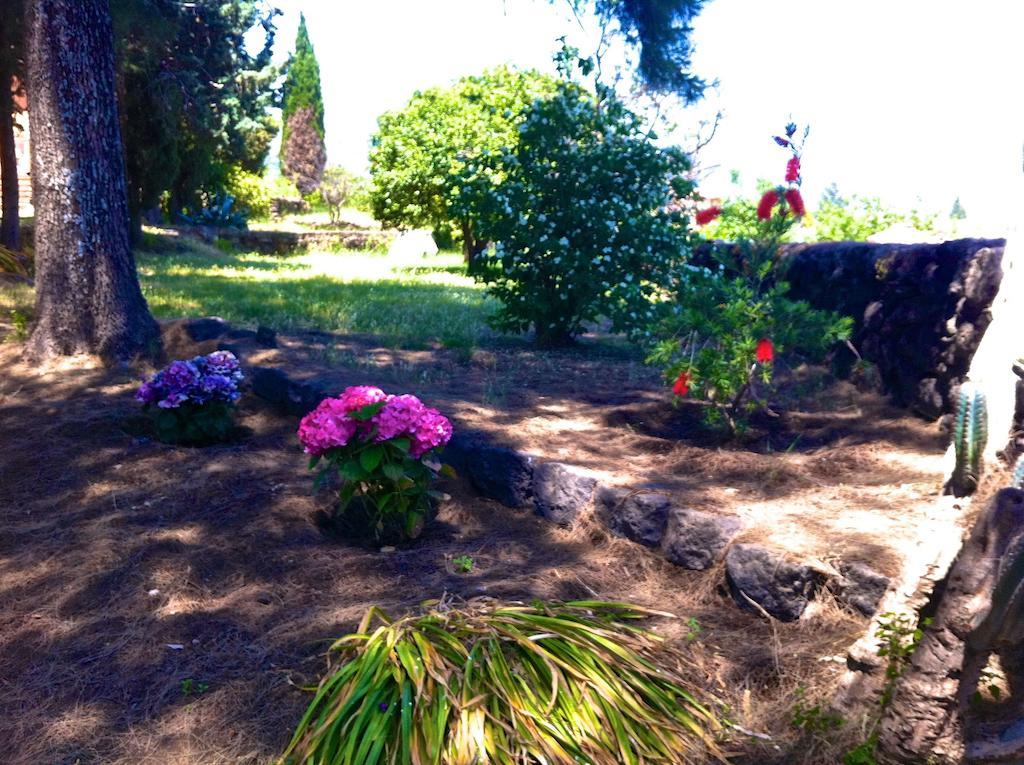 Villa Bonaccorso - Antica E Maestosa Villa Con Piscina Ai Piedi Dell'Etna فياغراندي المظهر الخارجي الصورة
