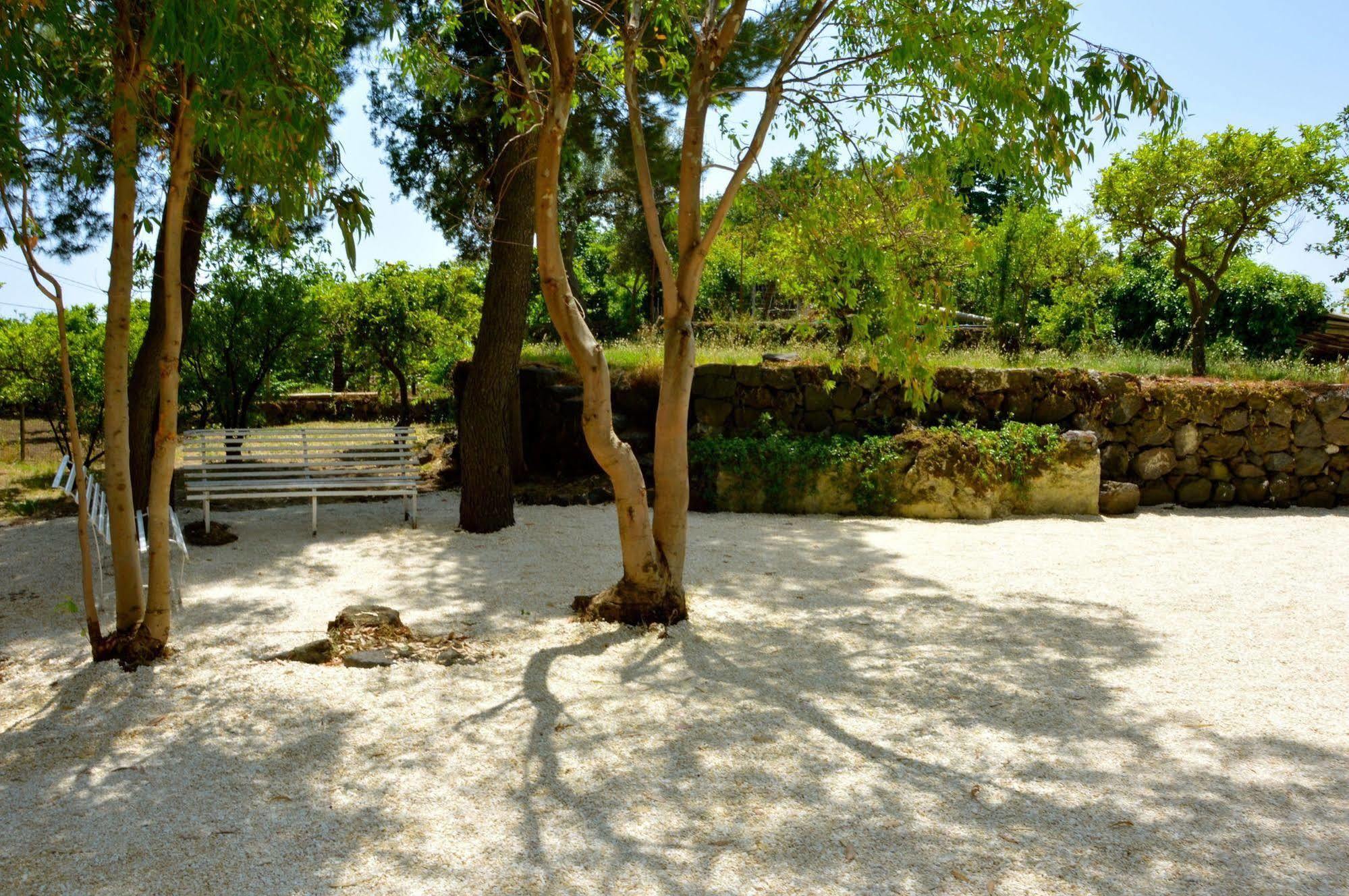 Villa Bonaccorso - Antica E Maestosa Villa Con Piscina Ai Piedi Dell'Etna فياغراندي المظهر الخارجي الصورة